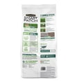 thumbnail image 4 of Pennington Smart Patch Tall Fescue Grass Seed Mix, for Sun to Partial Shade, 12 lb. Bonus Size, 4 of 18