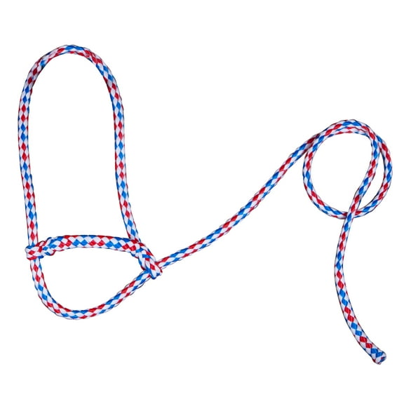 Poly Sheep Halter Color: Red/White/Blue