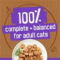 thumbnail image 5 of Purina Friskies, Meaty Bits Gourmet Grill in Gravy, Wet Cat Food, 5.5 oz Can, 5 of 9
