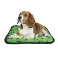 thumbnail image 2 of PKQWTM Clover St Patrick`s day For luck Pet Dog Cat Bed Pee Pads Mat Cushion Potty Dogs Blankets Crate Bed Kennel 14x18 inch, 2 of 3
