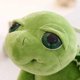 thumbnail image 5 of STOBOK Super Nette Große Augen Schildkröte Plüschtier Gefüllte Plüsch Puppe Spielzeug Cartoon Entzückende Tier Spielzeug Weihnachtsdekoration (18 cm Verde) Zhivalor  LN-1231, 5 of 8