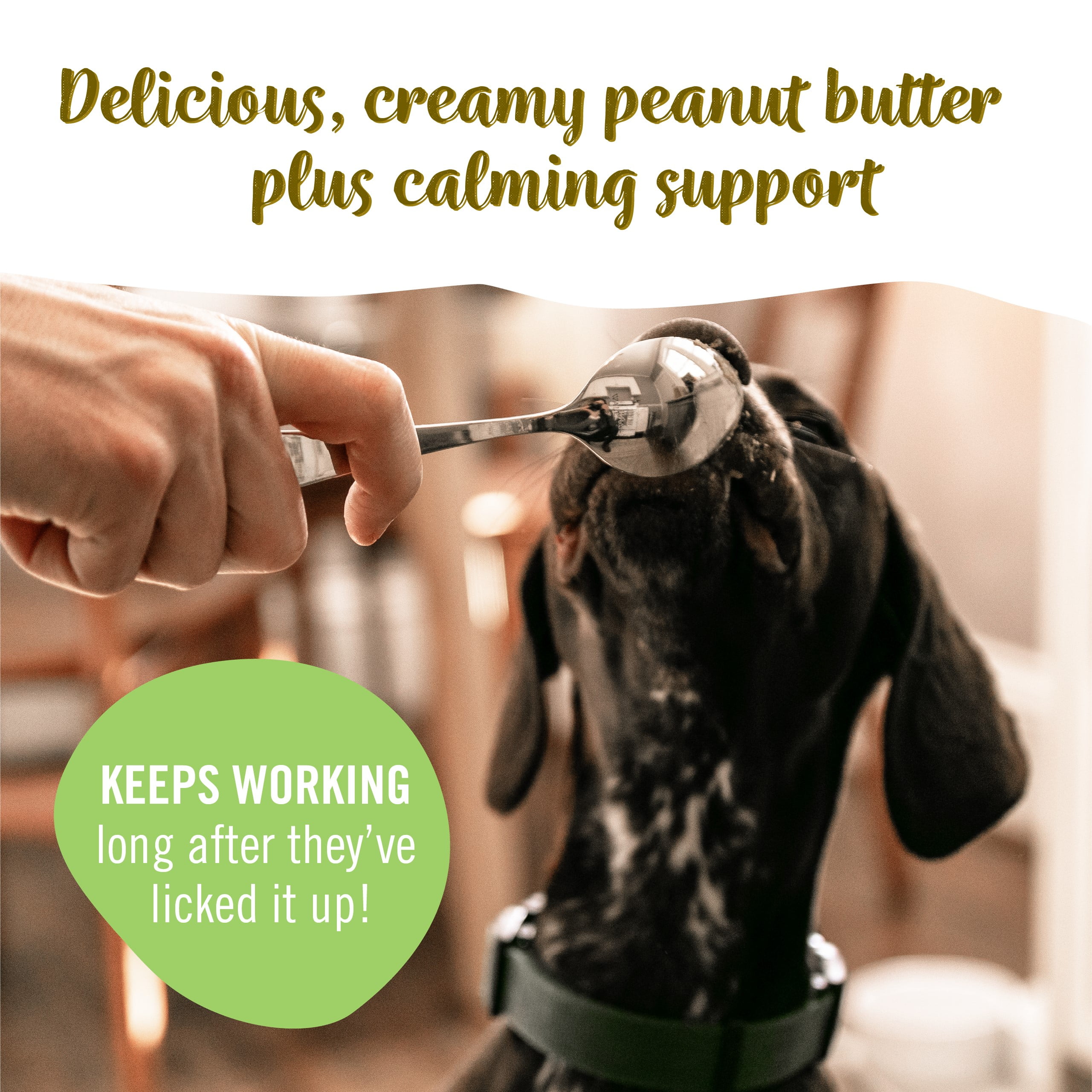  Pet Naturals BusyButter Easy Squeeze Calming Peanut Butter for  Dogs, 6 Pouches - Great for Treats, Lick Mats, Training, Calming, and  Occupier Toys : Pet Supplies