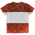 thumbnail image 2 of Austrian Flag Distressed Grunge All Over Youth T Shirt Multi YLG, 2 of 2