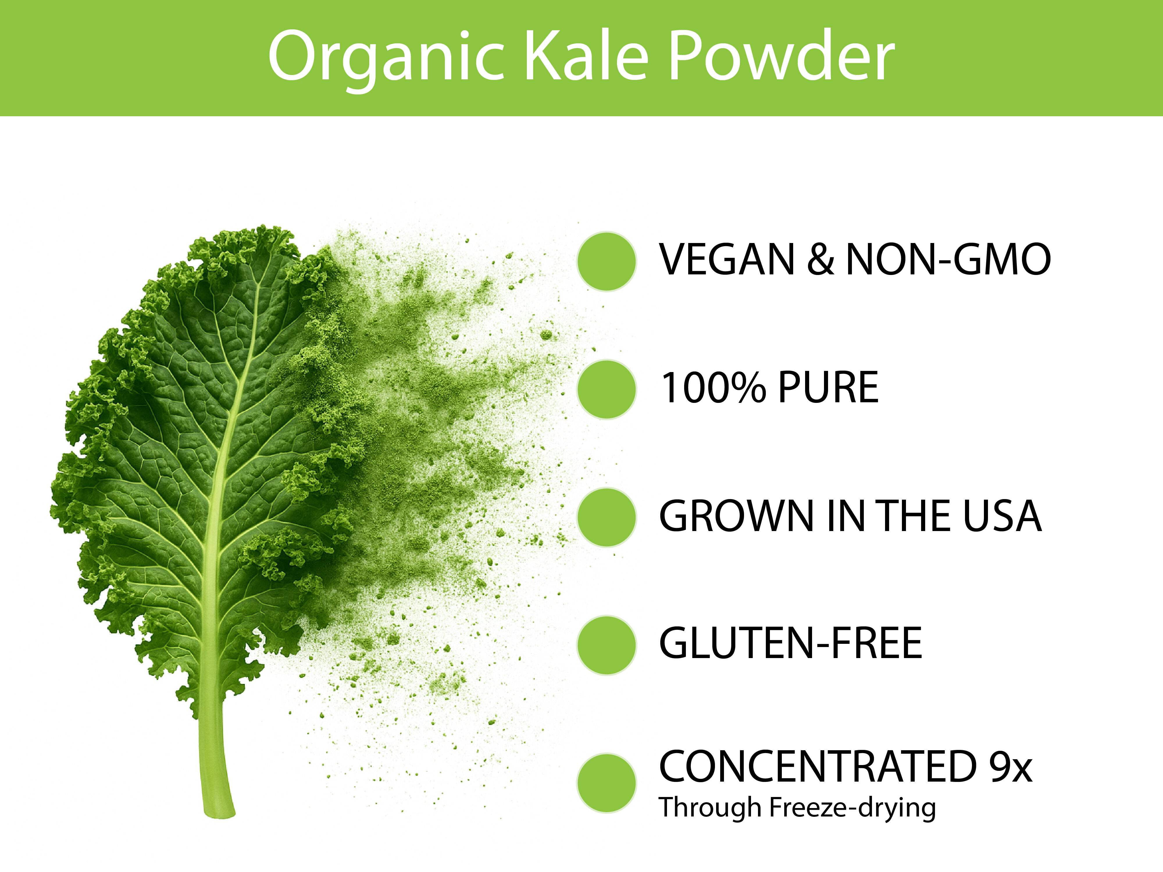 KALE Organic USA Grown Kale Powder (Equivalent to 30 Cups Fresh): Freeze-dried, Whole-Leaf Powder