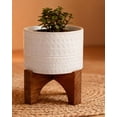 thumbnail image 5 of 7" Pharaoh   Ceramic Planter, 5 of 5