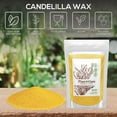thumbnail image 2 of Candelilla Wax Pellets 4 oz. 100% Pure Natual Food Grade Vegan Wax For DYI Lip Balm, Soap and Candle Making, Creams and Lotions. Great For Skin, Face, and Hair applications. Beeswax Alternative, 2 of 9