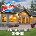 thumbnail image 2 of Windex Outdoor Glass & Patio Cleaner, 32oz, 2 of 4