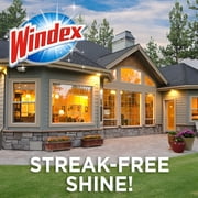 Windex Outdoor Glass & Patio Cleaner, 32oz