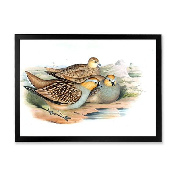 Designart 'Ancient Birds In The Wild III' Traditional Framed Art Print