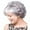 Silver, variant on WXLCISI Women's Fashion Wig Silver Synthetic Hairshort Wigs hair Wave Wig