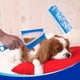 thumbnail image 3 of Cepillo Multifuncional para Limpieza de Pelos de Mascotas, Juego , Mini Recogedor de Pelo, Herramienta de Limpieza A, 3 of 5