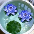 thumbnail image 4 of Sokhug Blue Floating Foam Lotus Flower 7 Inch Artificial Water Lily EVA For Pond Pool Garden Spring Summer Outdoor Decor, 4 of 6