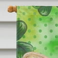 thumbnail image 3 of Carolines Treasures BB9862CHF French Bulldog St Patricks Flag Canvas House Size  Large multicolor, 3 of 4