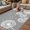 Light Gray White, variant on Dandelion Outdoor Rug for Patio/Deck/Porch, Non-Slip Large Area Rug 6 x 9 Ft, Black White Modern Country Rustic Plants Indoor Outdoor Rugs Washable Area Rugs, Reversible Camping Rug Carpet Runner