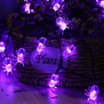 thumbnail image 4 of 40 Led Purple Spider String Lights,Battery Halloween String Lights for Halloween Party Decor,Halloween Decoration,Halloween Lighting,Bedroom,Halloween Lighting for Yard,Halloween Party Decorations, 4 of 8