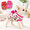 Leopard-X-Small, variant on Leopard XX-Small Cotton Blend Fleece Lined Dog Sweater for Small Teacup Pets