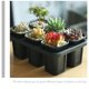 thumbnail image 2 of Maceta para bonsái (2 unidades, 6 agujeros, soporte para maceta, soporte pequeño para plantas y suculentas), 2 of 6