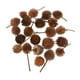 thumbnail image 2 of 2x 50 Piezas Flores Naturales Prensadas y Secas para Decoración DIY Artesanías de Decoración de Pared, 2 of 9