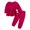 style-17 Hot Pink, variant on Gubotare Toddler Girl Clothes Fall/Winter Girls 2 Piece Outfits Long Sleeve Sweatshirt & Pants Fall Clothing Set Size 2T 3T (Light Purple,2-3 Years)