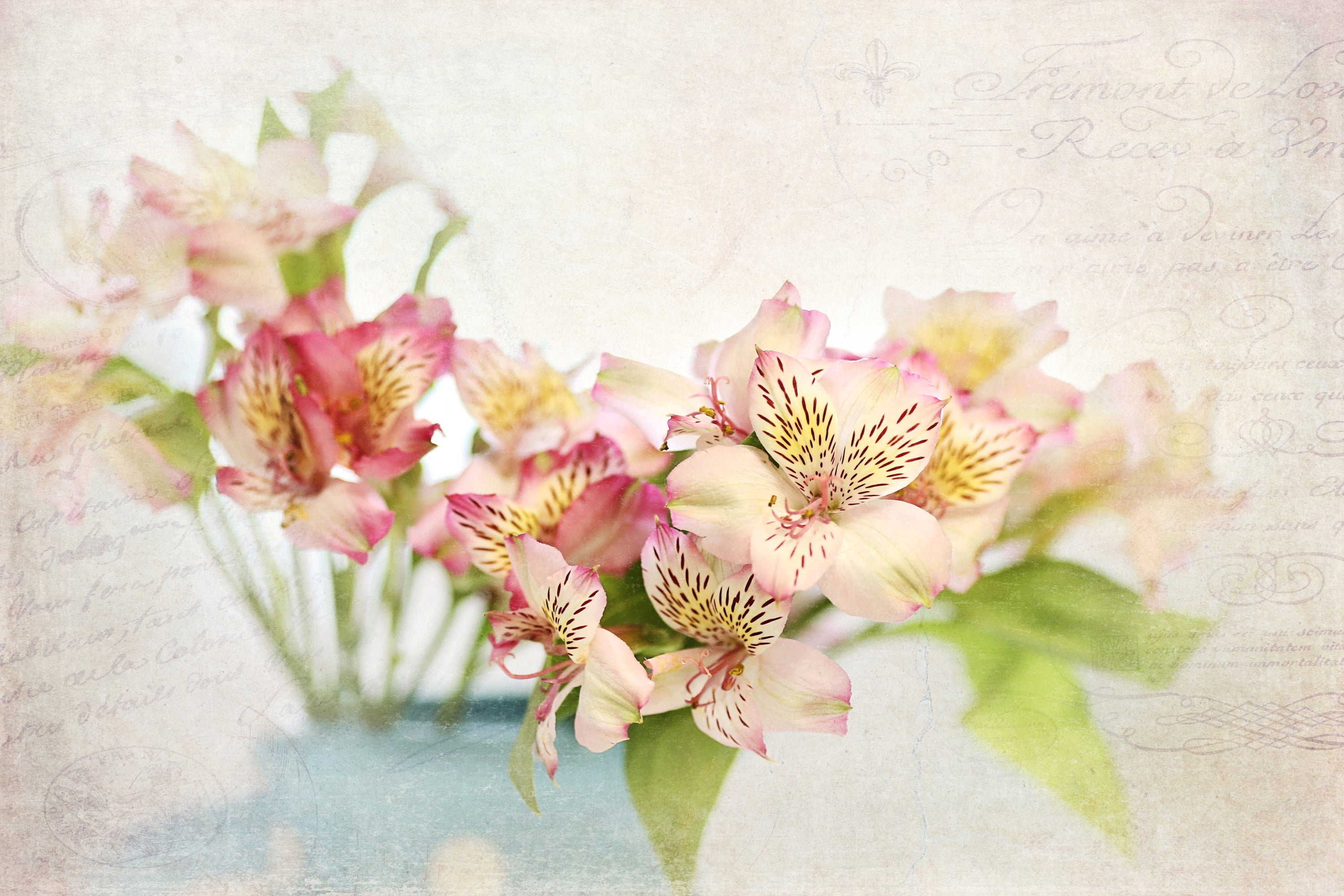 "Alstroemeria" Painting Print on Wrapped Canvas