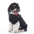 thumbnail image 7 of Small Dog Jacket with Harness,Pet Coat Cold Weather Warm Vest Jacket,Dog Waterproof Windproof Cotton Costume for Puppy Small Medium Dogs Black S, 7 of 7