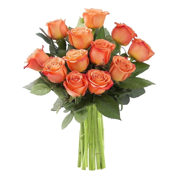 KaBloom : 12 Orange Roses, 3 Greens, Next-Day Delivery, Gift for Every Occasion.