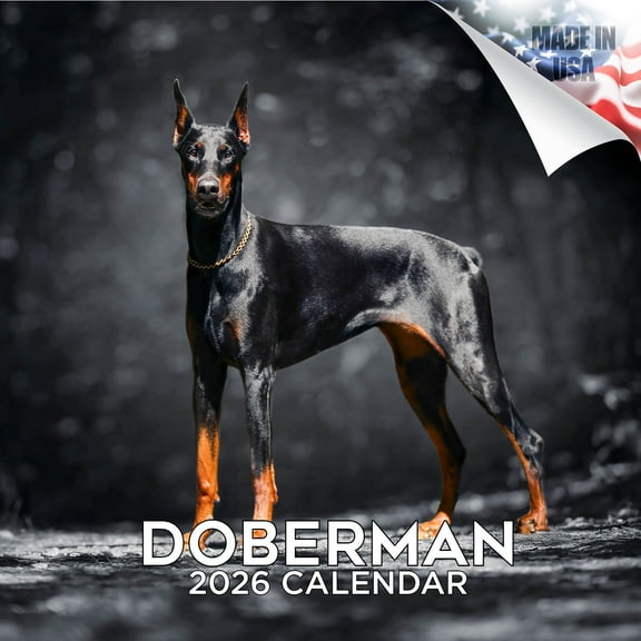 2025 2026 Doberman Calendar - Dog Breed Monthly Wall Calendar - 12 x 24 Open - Thick No-Bleed Paper - Giftable - Academic Teacher's Planner Calendar Organizing & Planning - Made in USA