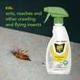 thumbnail image 5 of Raid Essentials Multi-Insect Killer Spray Bottle, Child & Pet Safe, for Indoor Use, 12 oz Pack of 3, 5 of 8