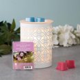 thumbnail image 3 of ScentSationals, Scented Wax Cubes - Berry Blossom Breeze, 3 of 6