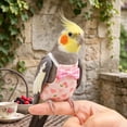thumbnail image 3 of OCCOA Conure Flight Suit Bird Diaper with Poop Pocket for Budgie Cockatiel Peachface Parakeet Outdoor Clothes, White, 3 of 6