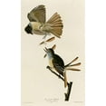 thumbnail image 2 of Vintage Apple Collection 13x18 Black Ornate Wood Framed with Double Matting Museum Art Print Titled - Great Crested Flycatcher, 2 of 4