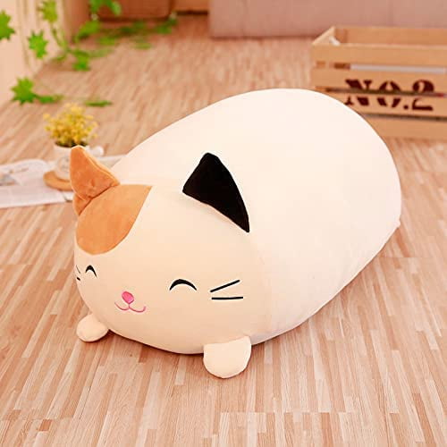 Big cat sales teddy