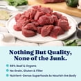 thumbnail image 5 of Solid Gold Real Beef & Pumpkin Freeze-Dried Raw Meal Dog Food Topper, 12.5-oz bag, 5 of 8