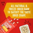 thumbnail image 4 of Stella & Chewy's Freeze-Dried Raw Carnivore Crunch Cage-Free Chicken Recipe Dog Treats, 3.25 oz bag, 4 of 10
