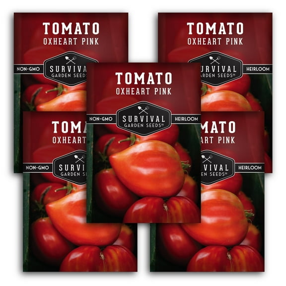 Oxheart Pink Tomato Seeds - 5 Pack - Non-GMO Heirloom Full Sun Annual Vegetable