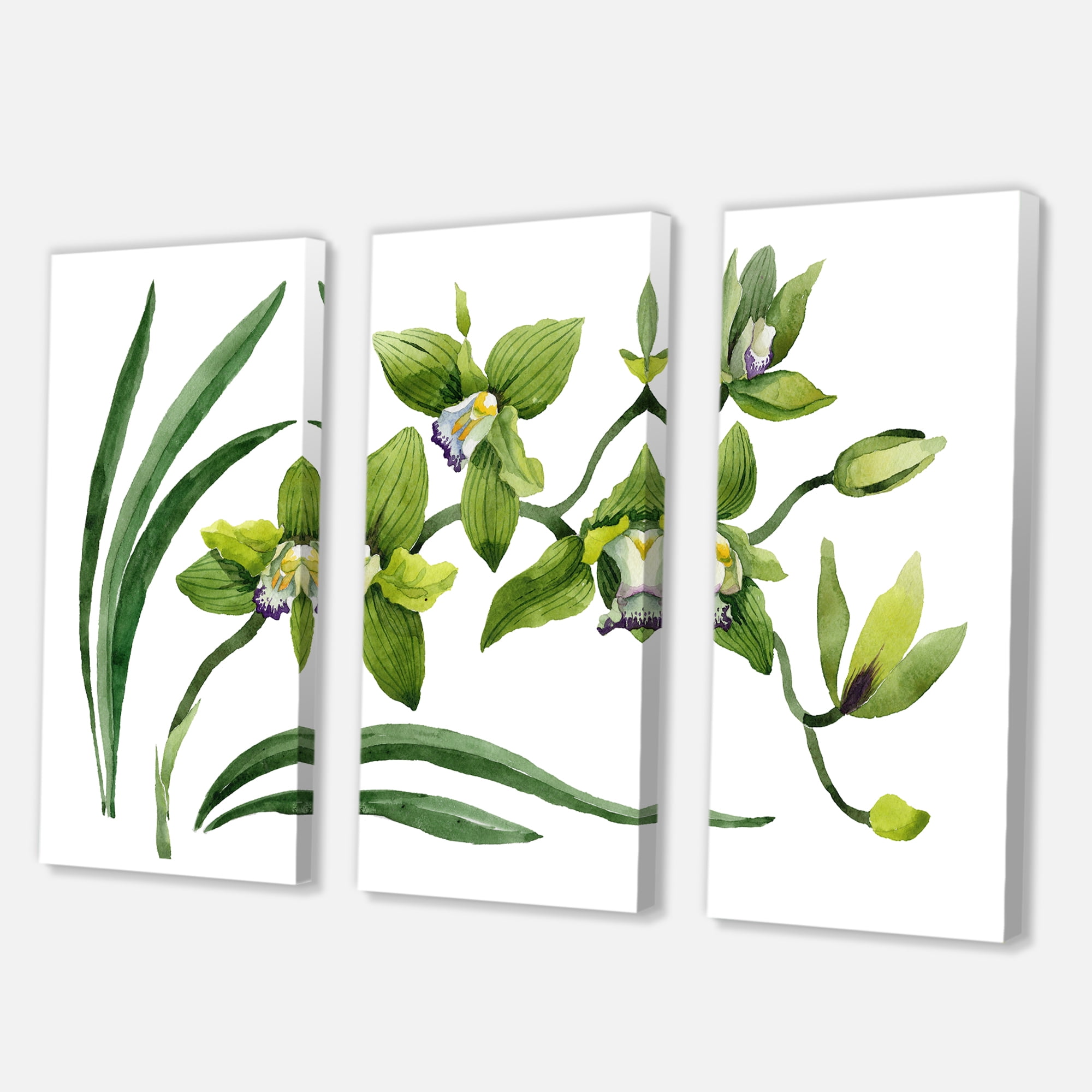 Green Orchid Flowers On White 28 in x 36 in Painting Canvas Art Print, by Designart