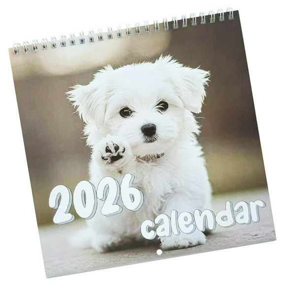 2026 Art Wall Calendar – Thick Tear-Resistant Paper, Vibrant Illustrations, Large Clear Dates for Home/Office Decor