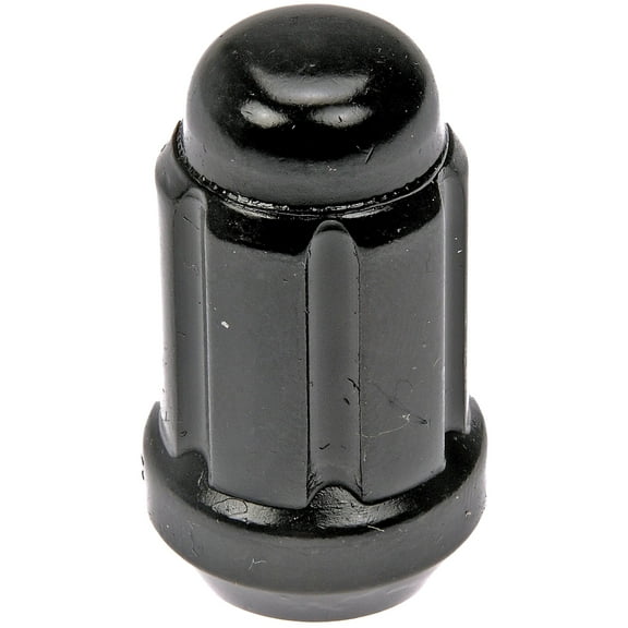 Dorman 711-256 Wheel Lock Set for Specific Models, Black (Pack of 20)