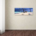 thumbnail image 4 of Trademark David Evans "Island Refuge" Gallery-Wrapped Canvas Art, 8" x 24", 4 of 4