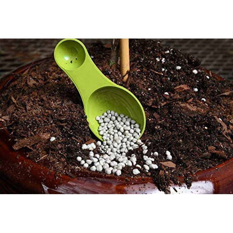 Bonsai Food Pellets by Perfect Plants - 5 Year Supply - All Natural Slow  Release - Extended Enrichment for All Live Bonsai Tree Types - Walmart.com