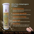 thumbnail image 6 of Fizzy Curcuminoids Effervescent Tablets, 6 of 6