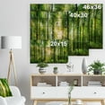 thumbnail image 5 of Design Art - Forêt avec Rayons de Soleil Panorama, 5 of 5