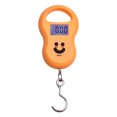 thumbnail image 1 of Karymi High Precision Portable Portable Scale Hoist Mini Electronic Scale 50kg Kitchen Scale Wal&mart Deals Clearance Remembrance Day, 1 of 2