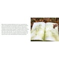 thumbnail image 4 of MB Stone Care Hardscape BSC Headstone Cleaner for Headstones, Tombstones, Memorials & Grave Cleaning, Spray, 1 Quart, 4 of 5