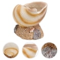 thumbnail image 3 of POINTERTECK 1Pc Simulé Harpe Coquille Pot de Fleurs Plantes d'Intérieur Pot Résine Artware Jaune Clair, 3 of 6