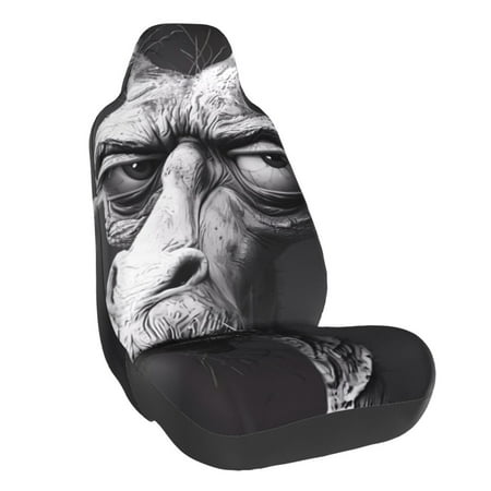 Coaee Monochrome Giraffe Expression for Front Car Seat Covers Automotive Seat Covers for Most Cars SUVs and Trucks
