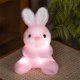 thumbnail image 5 of Conejo de peluche luminoso para niños | Conejito de pelo largo de terciopelo suave con luz LED cálida incorporada | Luz nocturna a pilas para bebés y niños pequeños, ideal como regalo para dormir., 5 of 5