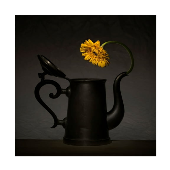Canvas Wall Art - Wieteke De Kogel 'Is It Me In There' Wall Art for Living Room, Bedroom, or Office D?cor by Trademark Fine Art - 14 x 14 Inches