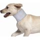 thumbnail image 4 of Breathable Dog Collar Post Surgery Cat Collar Promotes Wound Healing Easy to Wear for Dogs and Cats Neck Protection Recovery Rose S, 4 of 5