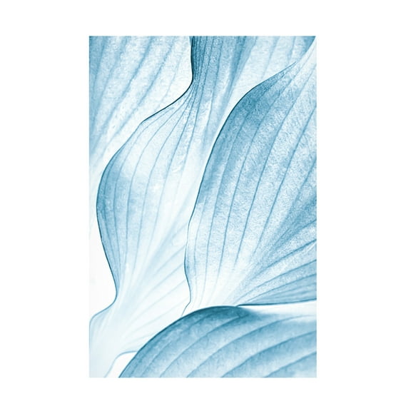Trademark Fine Art Beth Buelow Icy Waves Canvas Wall Art